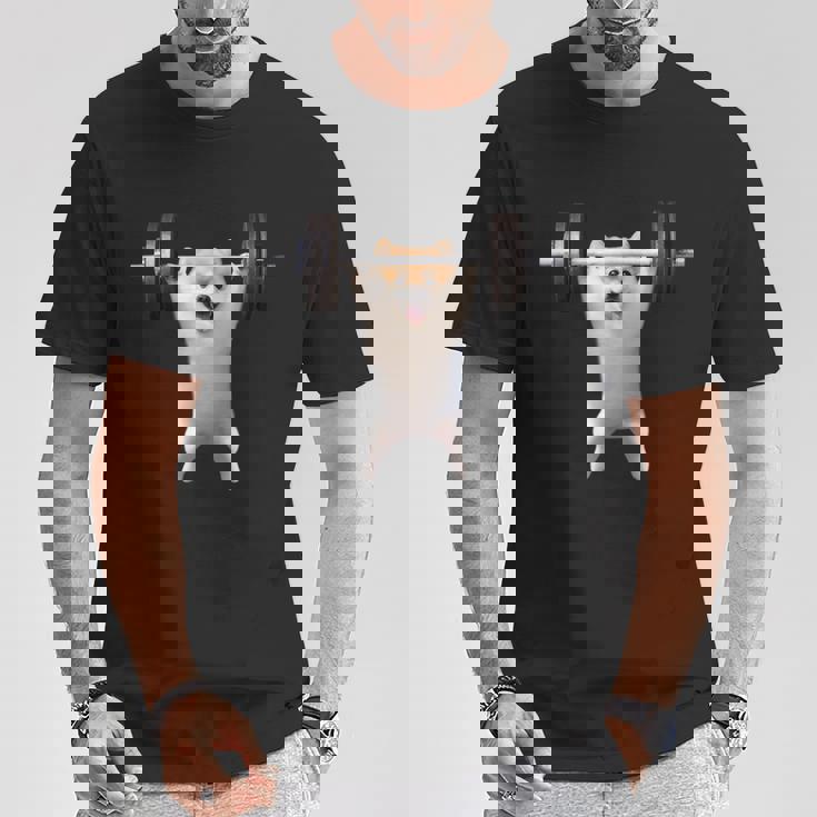 ポメラニアン イヌ 面白いtシャツ 犬 筋トレ 文字入り メンズ おもしろ 面白い 服 グッズ 文字tシャツ ネタ Tシャツ 面白い贈り物