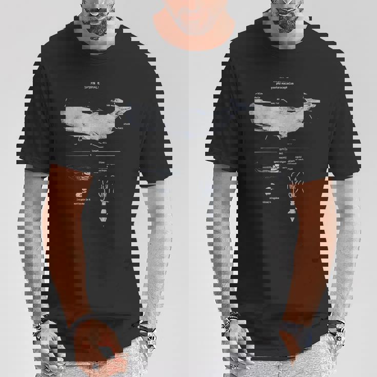 マッコウクジラの解剖学 海洋生物学者 Tシャツ 面白い贈り物