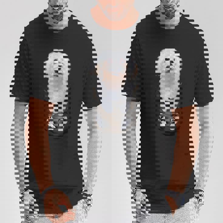 マルチーズ マルタ犬 マルタ語 Tシャツ 面白い贈り物