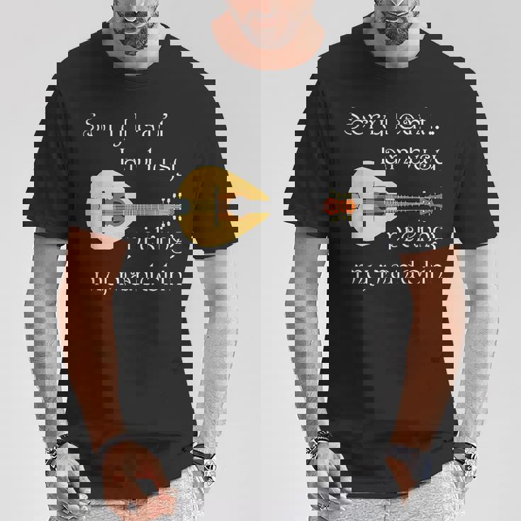 マンドリンピッキング ミュージシャン 音符 フォークミュージック Tシャツ 面白い贈り物