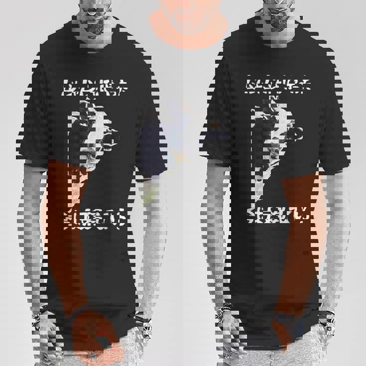 ムシャムシャしてやった今は反芻している ギャグ オヤジギャグ ジョーク お笑い 牛 ジョーク ツッコミ ネタ おもしろ Tシャツ 面白い贈り物