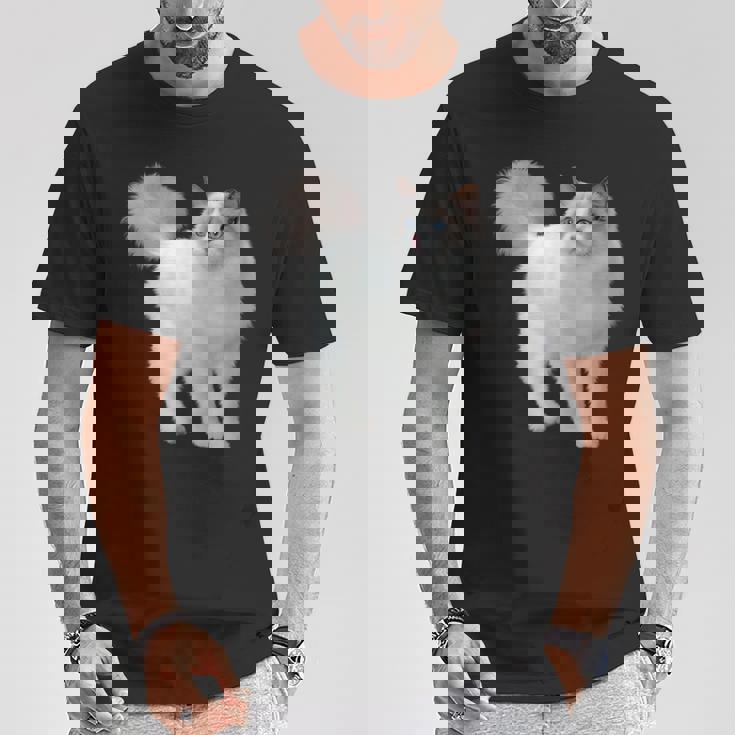 ラグドール 猫のポートレート ラグドール キャットヘッド ラグドール 猫の顔 Tシャツ 面白い贈り物