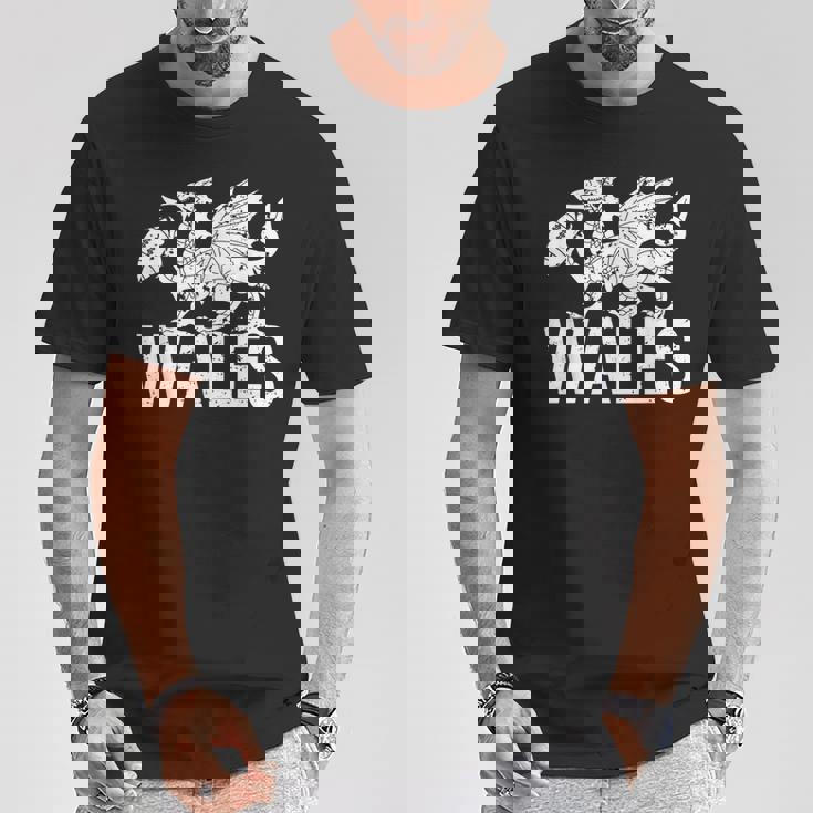 ラグビーウェールズドラゴン ウェールズ メンズ レディース ボーイズ ガールズ ウェールズ Tシャツ 面白い贈り物