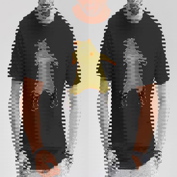 ラットダンスミーム2025面白いトレンディRatdance Tシャツ 面白い贈り物