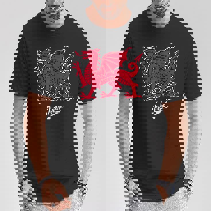 レクサム ウェールズドラゴン 小台本 Tシャツ 面白い贈り物