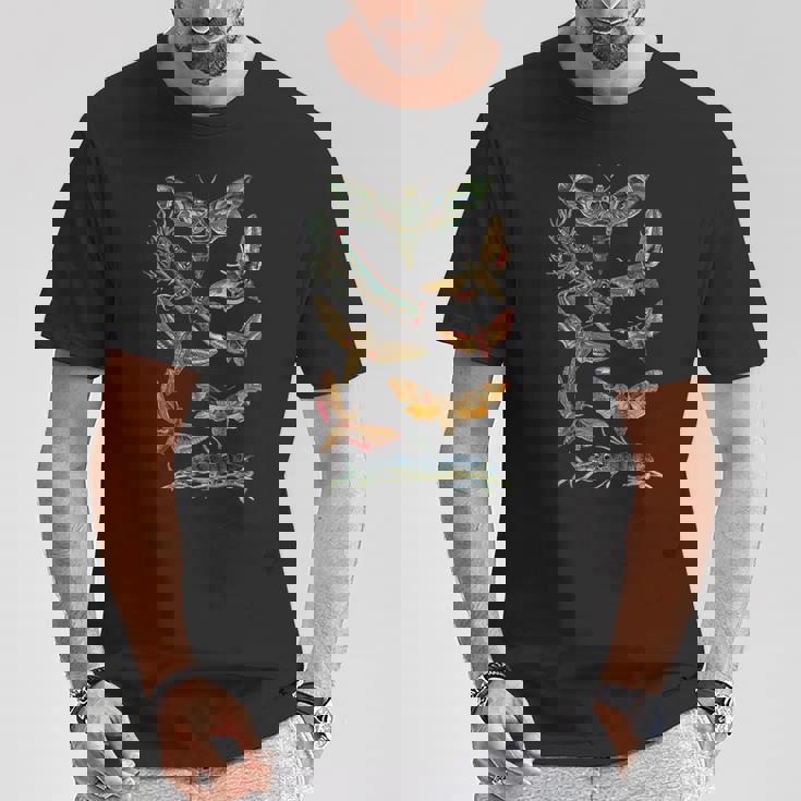 ヴィンテージ蛾 科学ギフト 昆虫 虫 イラスト Tシャツ 面白い贈り物