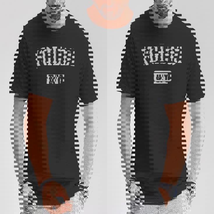 吉祥寺 東京 ヴィンテージ お土産 和 ヴィンテージ 吉祥寺 Tシャツ 面白い贈り物