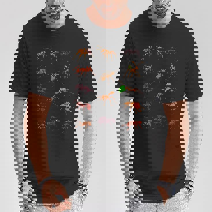 多くの種類のアリ Tシャツ 面白い贈り物