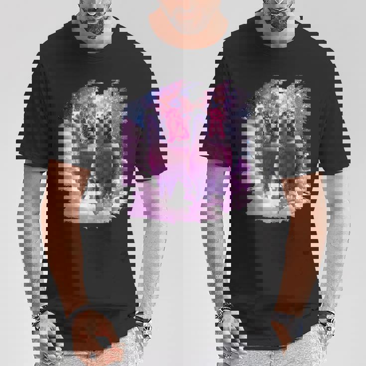 宇宙で虹色のラマに乗る子猫 Tシャツ 面白い贈り物