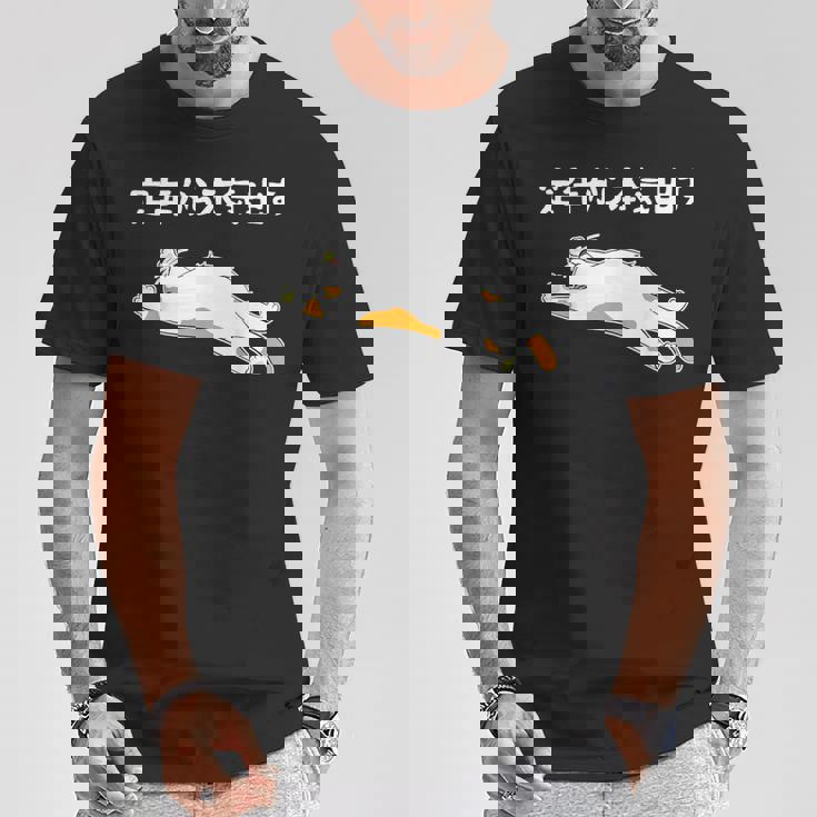 定年から本気出す 猫 ギャグ ジョーク 定年 退職 老後 還暦 趣味 定年祝い おもしろ ネタ Tシャツ 面白い贈り物