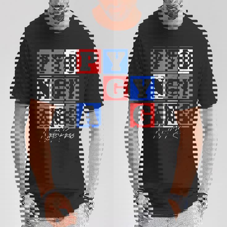 平壌 北朝鮮 旅行 バケーション お土産 Tシャツ 面白い贈り物