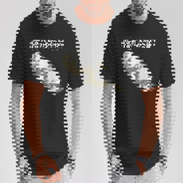 明日から本気出す 面白い猫のことわざ Tシャツ 面白い贈り物