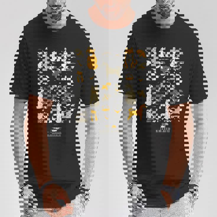 柴犬たくさん 大集合ver かわいい柴犬 柴犬 イラスト Tシャツ 面白い贈り物