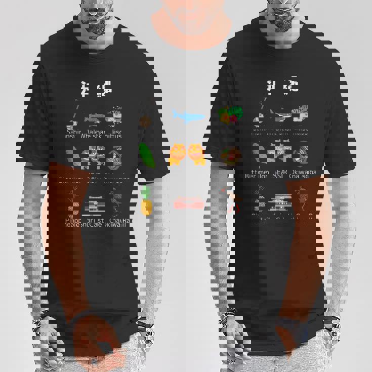 沖縄 三線 ジンベイザメ ハイビスカス ゴーヤー シーサー 沖縄そば パイナップル 首里城 ヤンバルクイナ Tシャツ 面白い贈り物