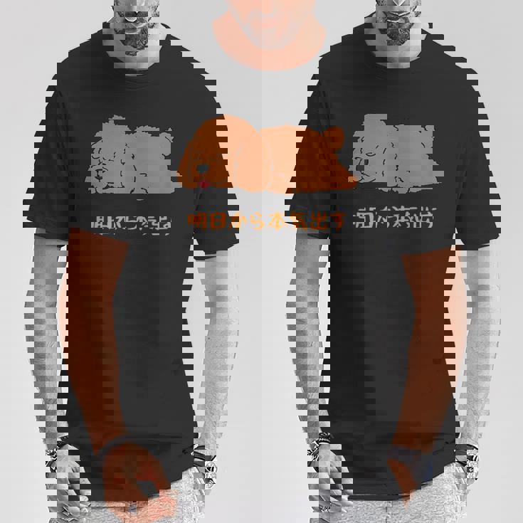 犬 おもしろ 明日から本気出す 可愛い プードル トイプードル かわいい イヌ Tシャツ 面白い贈り物