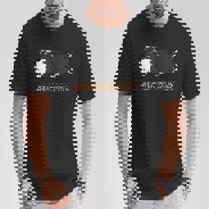 犬 おもしろ 明日から本気出すから 可愛い シュナウザー ミニチュアシュナウザー Tシャツ 面白い贈り物