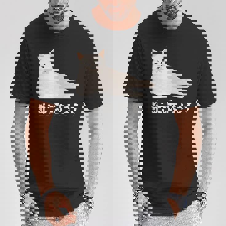 猫と話せます 白猫 しろねこ ネコ おもしろ 面白い かわいい 猫飼い 猫好き 男性 女性 Tシャツ 面白い贈り物