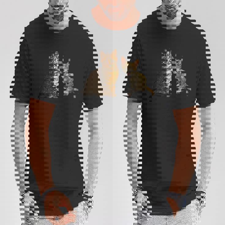 猫のルルとララ Tシャツ 面白い贈り物