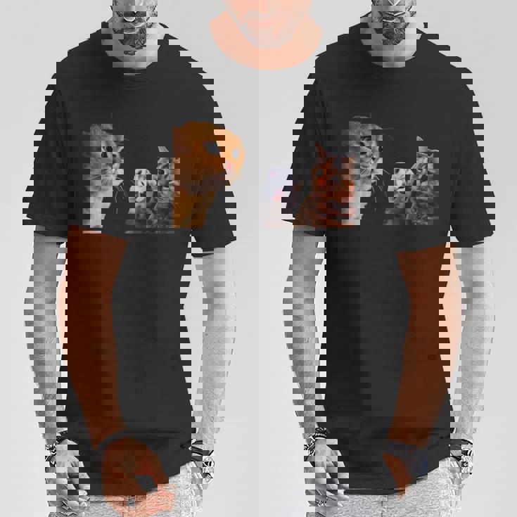 猫ミーム 説教する猫 怒られる猫 泣き叫ぶ猫 説教 怒る かわいい 面白い 人気 楽しい ハッピー Tシャツ 面白い贈り物