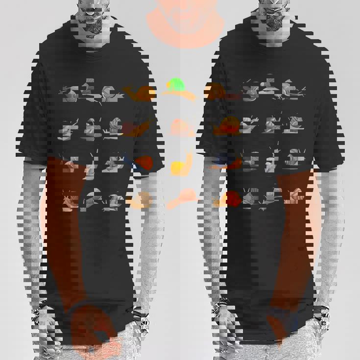 おもしろ 異なったカタツムリギフト キッズ メンズ レディース クールな貝殻 Tシャツ 面白い贈り物