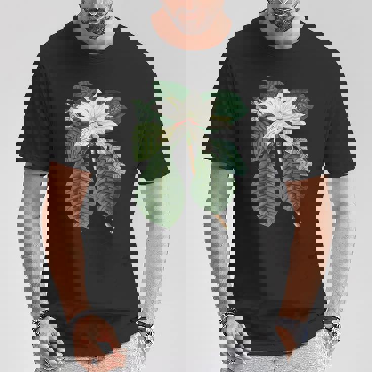 白モクレン花 ボタニカルアート Tシャツ 面白い贈り物