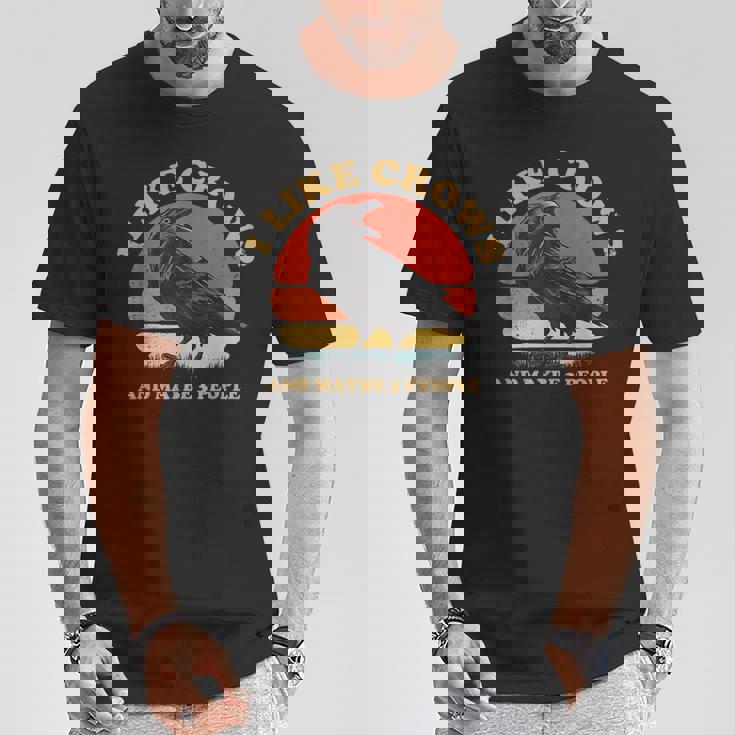 私はカラスと多分 3 人が好きです レトロ ビンテージ ブラック カラス Tシャツ 面白い贈り物