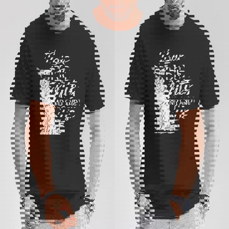 私は大きな雑種が大好きで、犬救助犬シェルターに嘘はつかない Tシャツ 面白い贈り物