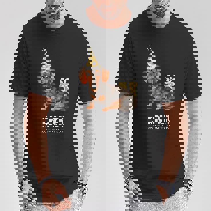 還暦祝い 犬好き 男性 女性 父 母 還暦 お祝い 60歳 かわいい 犬 ダックスフンド おしゃれ 赤色 Tシャツ 面白い贈り物