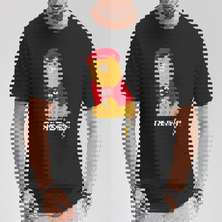 還暦祝い 猫 ねこ ちゃんちゃんこ 男性 女性 猫好き 還暦 お祝い 60歳 かわいい おもしろ オレンジ猫 Tシャツ 面白い贈り物