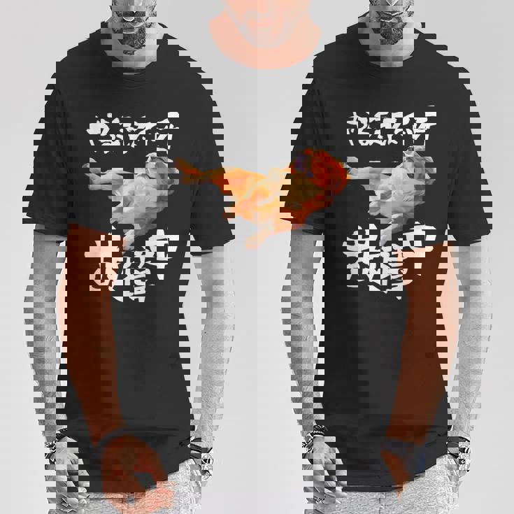 面白いtシャツ キャバリア 犬 やる気スイッチ イヌ メンズ 犬好き グッズ おもしろ 面白い 服 ネタ Tシャツ 面白い贈り物