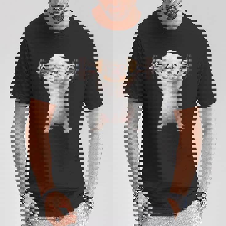 面白いtシャツ シーズー 犬 イヌ わんこ メンズ 犬好き グッズ かわいい 面白い 服 ネタ 筋トレ Tシャツ 面白い贈り物