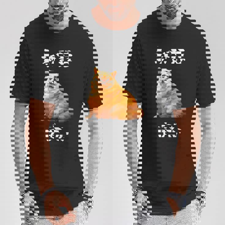 面白いtシャツ チワワ わがままボディ イヌ 犬 わんこ メンズ 犬好き グッズ おもしろ 面白い 服 ネタ Tシャツ 面白い贈り物