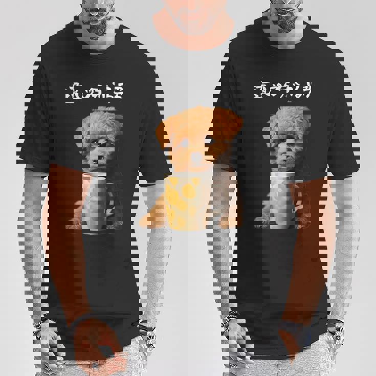 面白いtシャツ トイプードル コーヒー イヌ わんこ メンズ グッズ かわいい おもしろ 面白い 服 ネタ Tシャツ 面白い贈り物