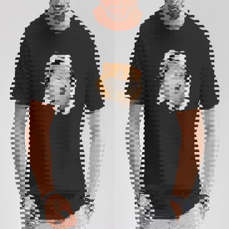 面白いtシャツ 柴犬 シバイヌ 犬 イヌ わんこ メンズ 犬好き グッズ かわいい 面白い 服 ネタ Tシャツ 面白い贈り物