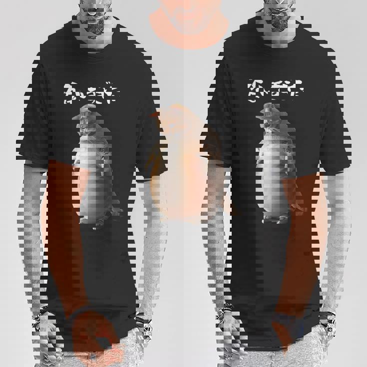 面白いtシャツ 猫 ネコ メンズ 猫好き グッズ おもしろ 面白い 服 ネタ にゃんこ 猫の下僕 ダイエット Tシャツ 面白い贈り物