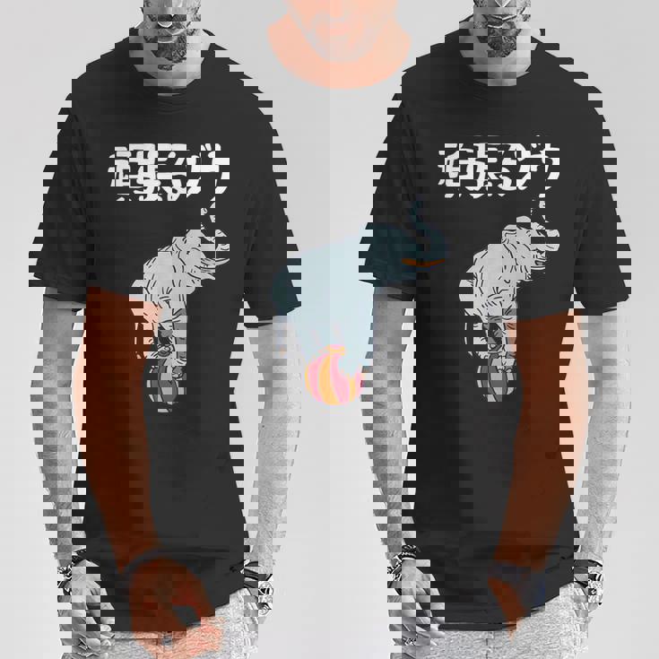 頑張るゾウ がんばるぞう ダジャレ ゾウ 動物好き ジョーク 高校受験 大学受験 試験 合格 かわいい おやじギャグ Tシャツ 面白い贈り物