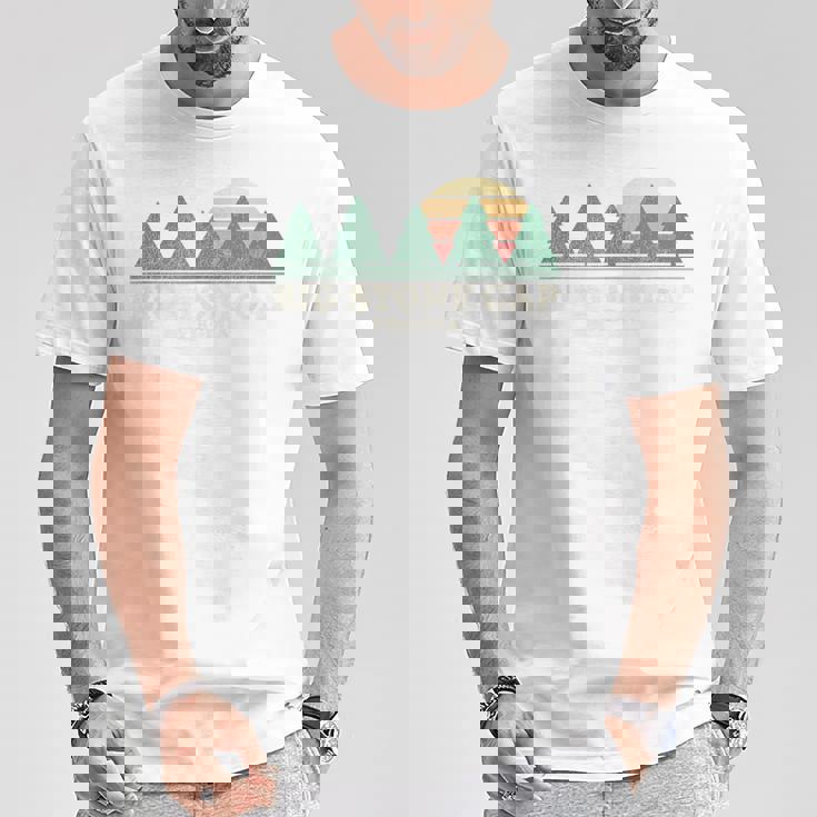 Bigtone Gapaヴィンテージスローバックtシャツ レトロ70年代デザイン Tシャツ 面白い贈り物