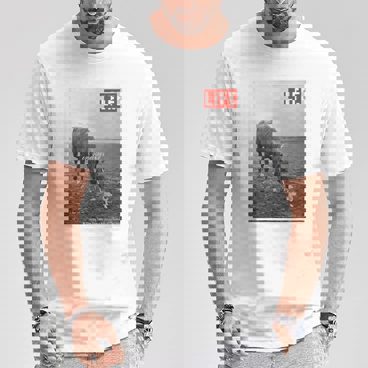 Life Picture Collection 馬と猫（1） Tシャツ 面白い贈り物