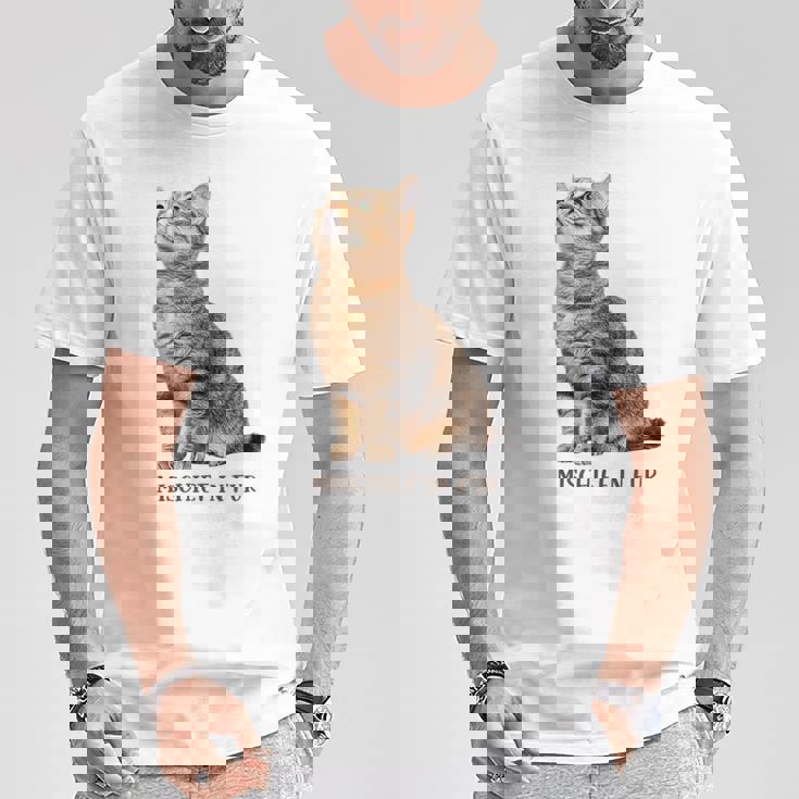 Mischief In Fur 猫写真 キジトラ 猫好き ネタ 猫しもべ 猫飼い 猫依存症 猫オーナー Tシャツ 面白い贈り物