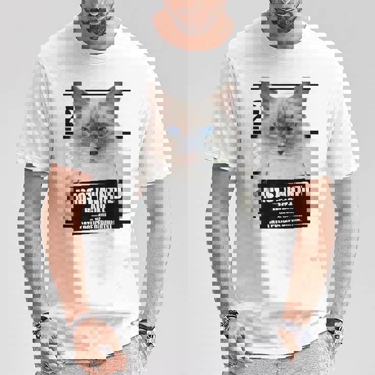 Most Wanted ラグドール ラグドール 猫 Tシャツ 面白い贈り物