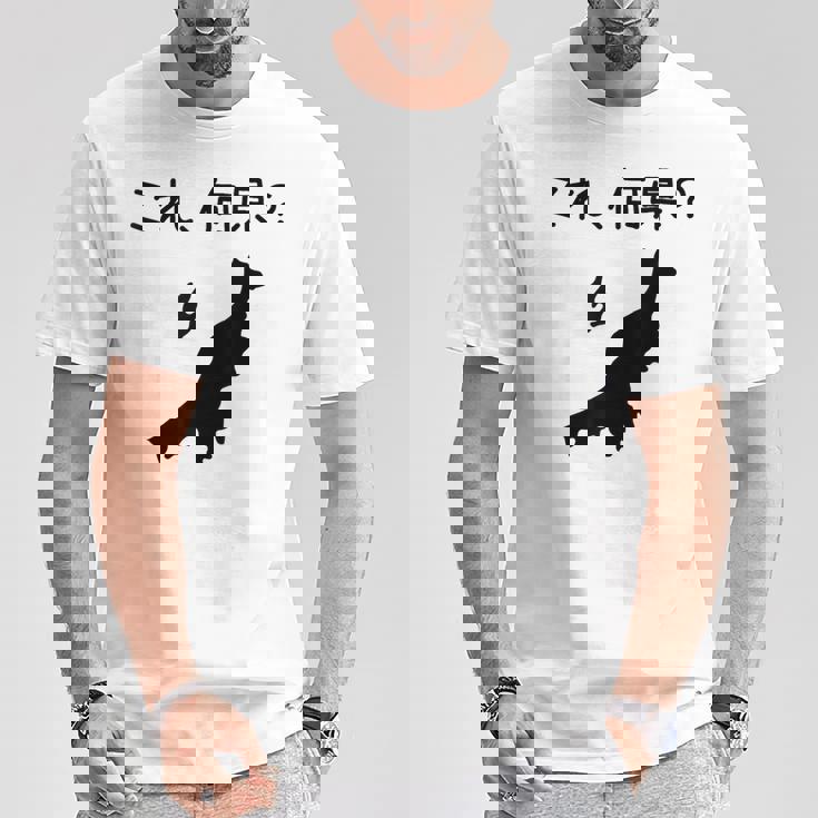 【これ、何県？】新潟県 都道府県 クイズ 小学生 遊び心 パズル 地図 シルエット 地理 先生 おもしろ 面白い ネタ Tシャツ 面白い贈り物