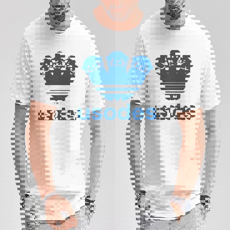 【バックプリント・背中側】ウソデス Usodes かわうそです。《ブルー 青》スポーツ ブランド パロディ 面白い Tシャツ 面白い贈り物