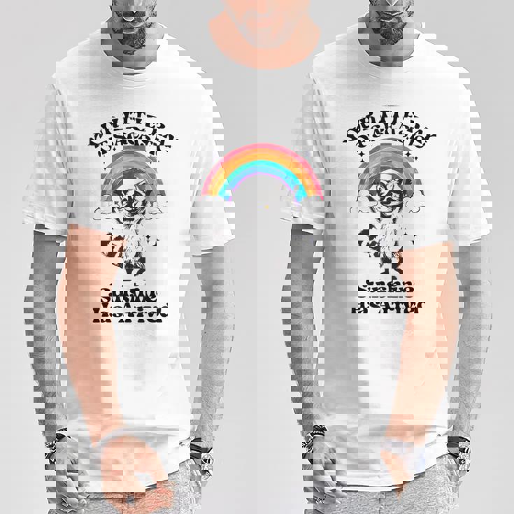 あなたの小さな皮肉な太陽の光はアライグマに到着しました Tシャツ 面白い贈り物