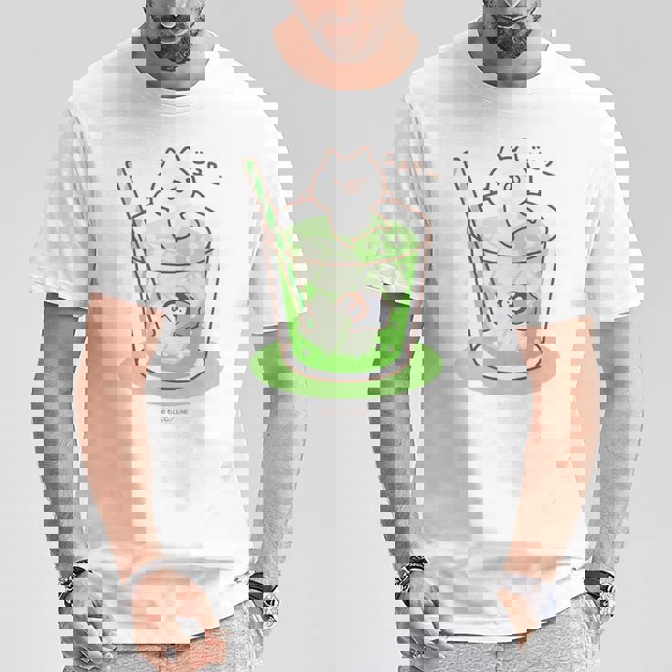 ねこぺん日和 メロンソーダ Tシャツ 面白い贈り物