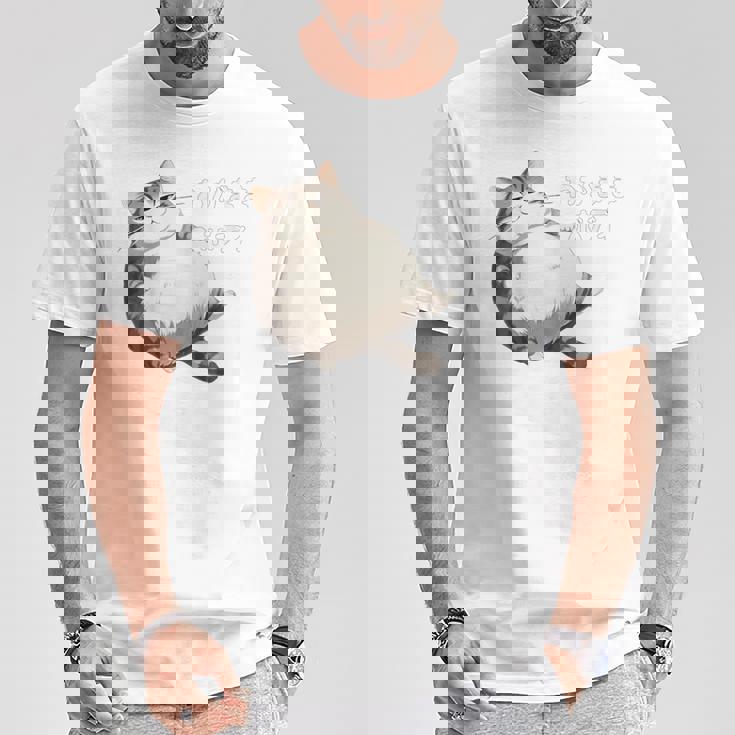 わがままボディ 猫 ねこ 太ったねこ ぽっちゃり 好ねこき かわいい おもしろ 面白い Tシャツ 面白い贈り物