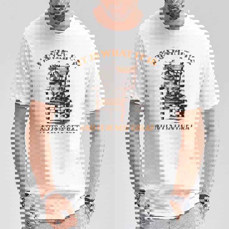 アライグマのミーム It's What It's And It Is Not Greatarcastic Tシャツ 面白い贈り物