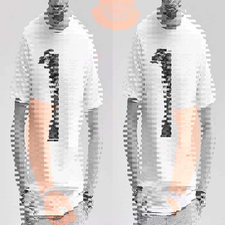 イタリアングレイハウンド 長袖tシャツ Tシャツ 面白い贈り物