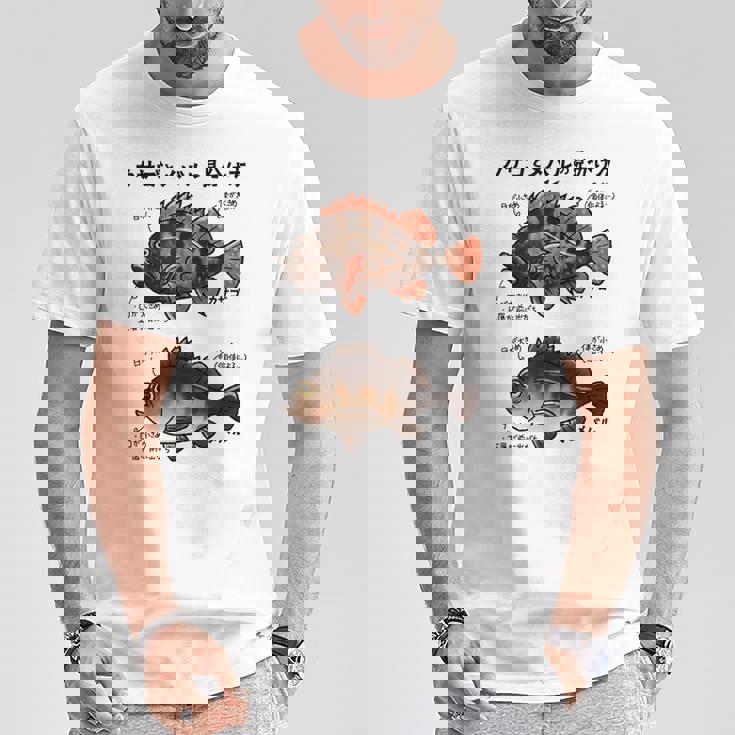 カサゴとメバルの見分け方 Tシャツ 面白い贈り物