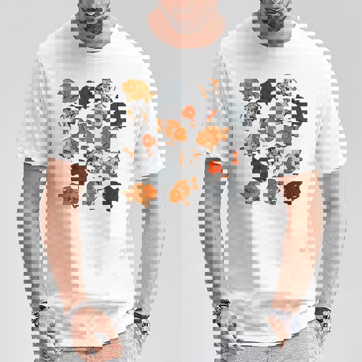 カラフルランチュウ Tシャツ 面白い贈り物