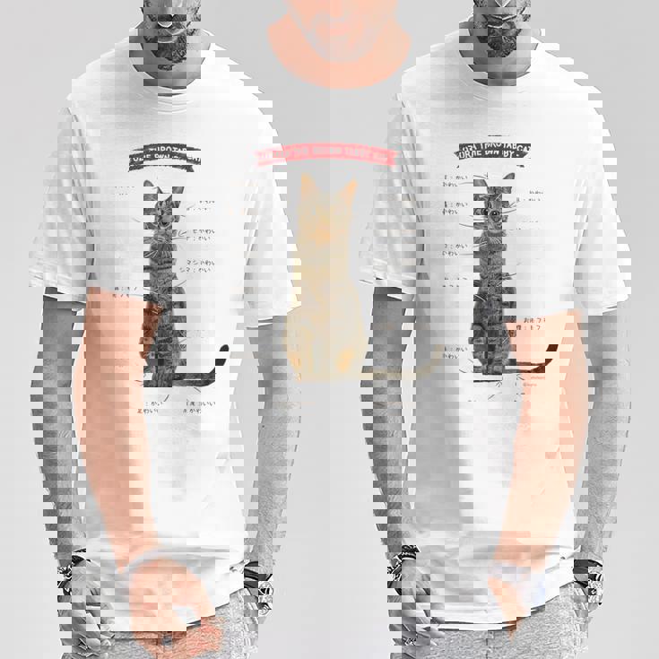 キジトラねこ、うずら 猫 キジトラ猫 鶉 かわいい Cat （ホワイト） Tシャツ 面白い贈り物